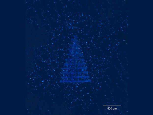 Vital3D's tiny 3D printed Christmas tree scaffold demonstrates 3D bioprinting potential