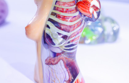 The Medical Industry