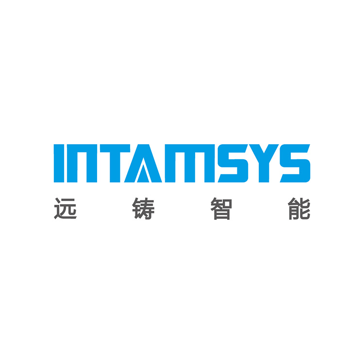 Intamsys Technology Co. Ltd.